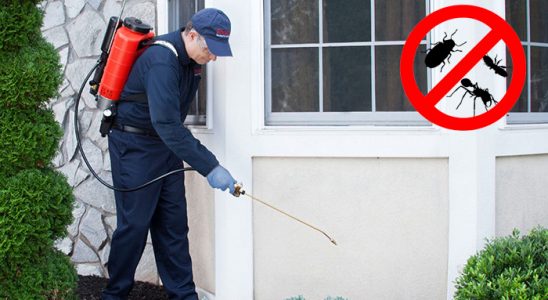 Yazıhan Dezenfeksiyon böcek ilaçlama ve haşere kontrolü — ilaclama-tr.com